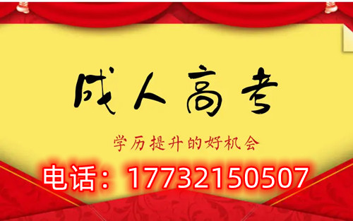 干貨！備考必讀，成考不踩雷！