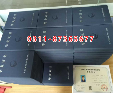 學信網(wǎng)上都能查詢什么學歷呢？