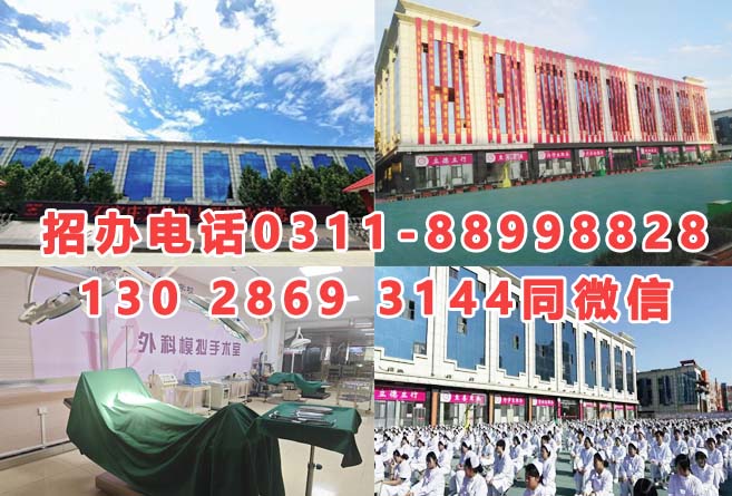 石家莊天使護(hù)士學(xué)校2026年招生分?jǐn)?shù)線是多少？